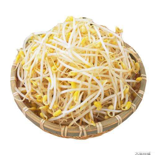 长黄豆芽约1斤 约1斤