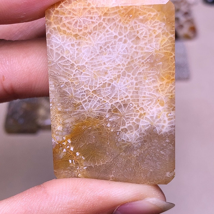 *****硅化玉合金珊瑚玉