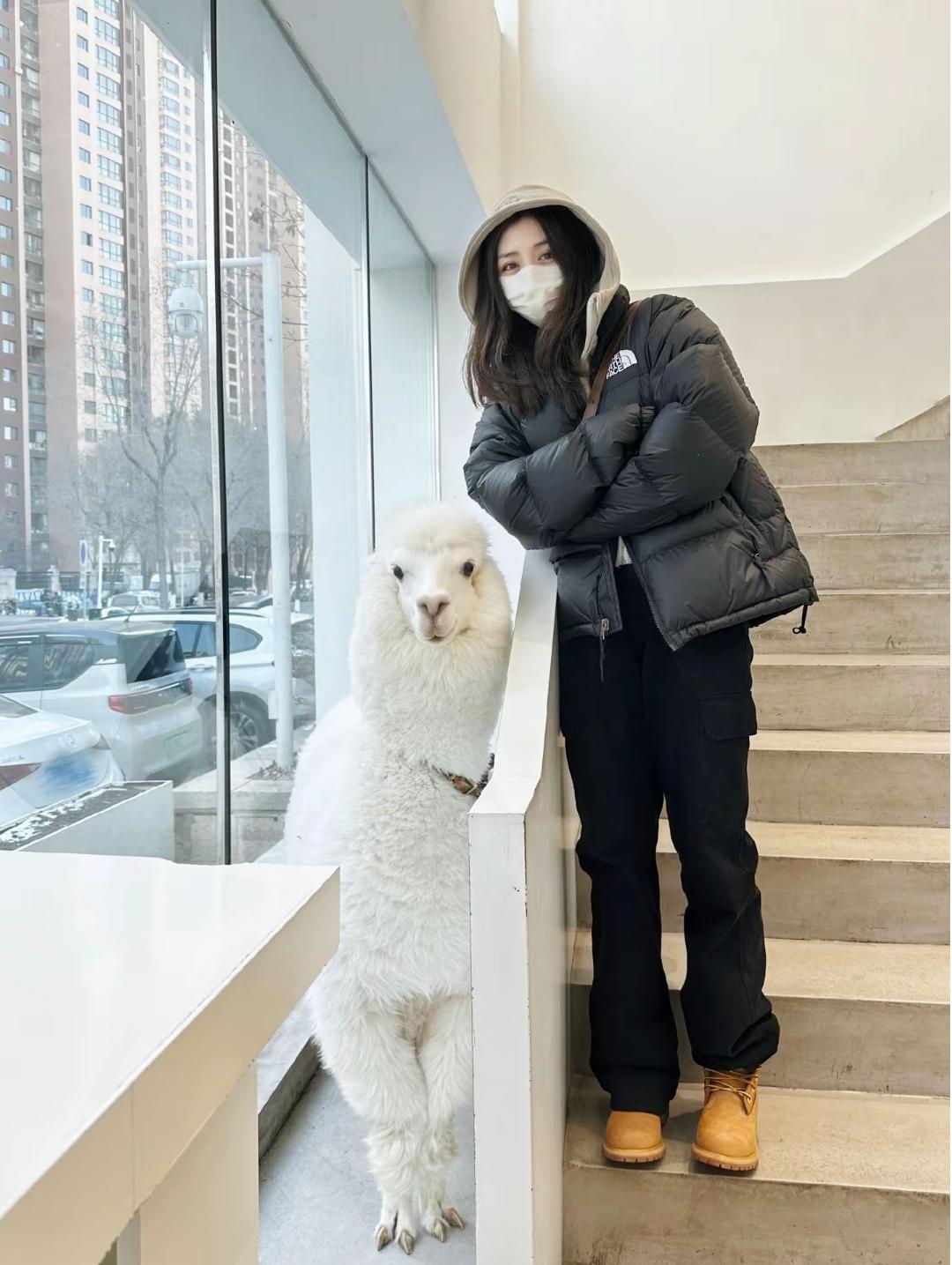 PD-【反季特惠】96版700蓬时尚百搭情侣款户外绒服