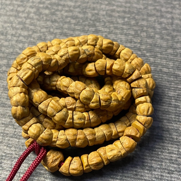 高油高密柏香籽几何大肠长串皮质干净