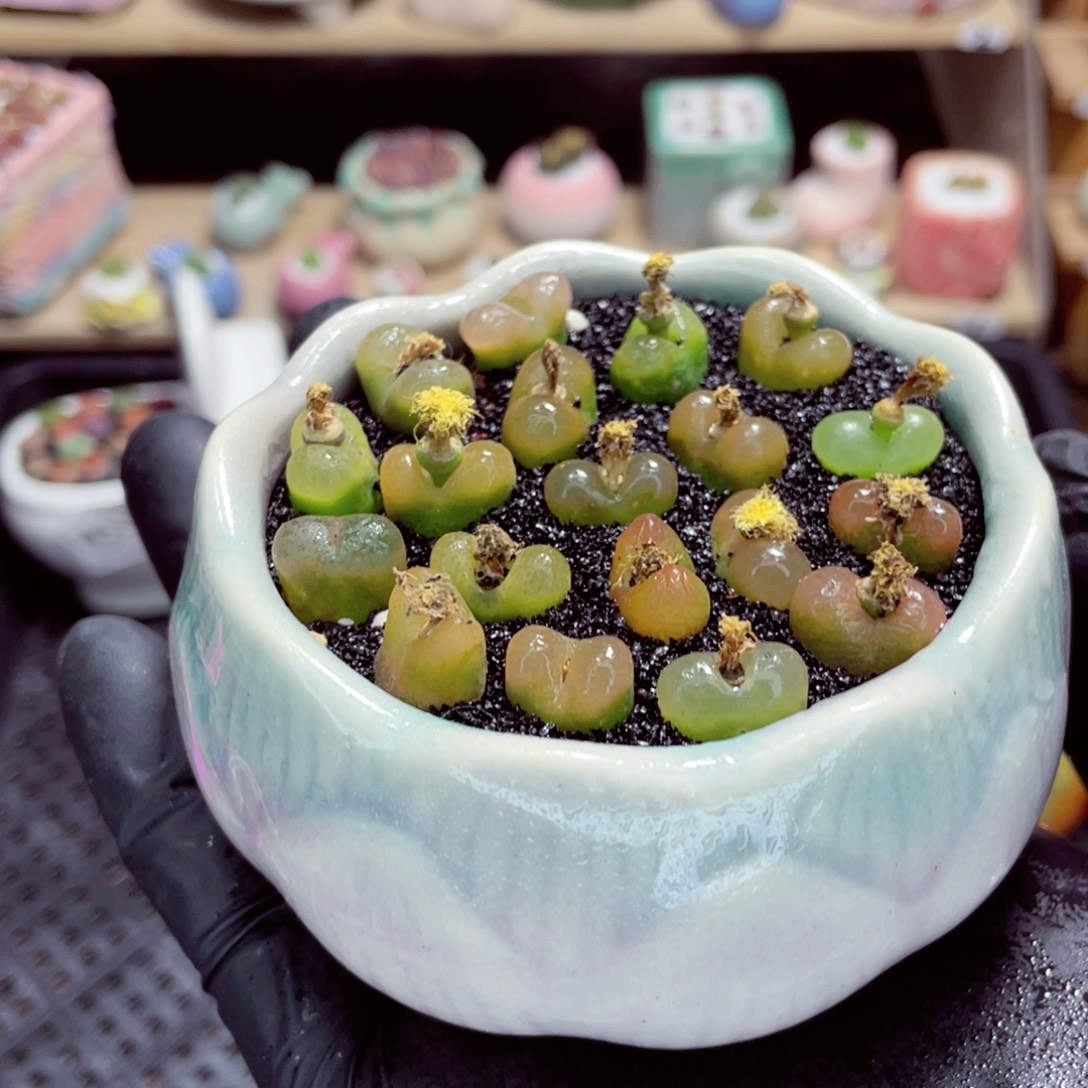 夜间零下地区拍保温箱w5863