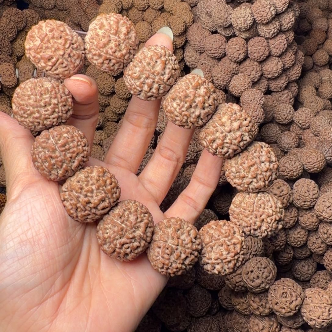 金刚菩提手串8瓣卡25尺，48号