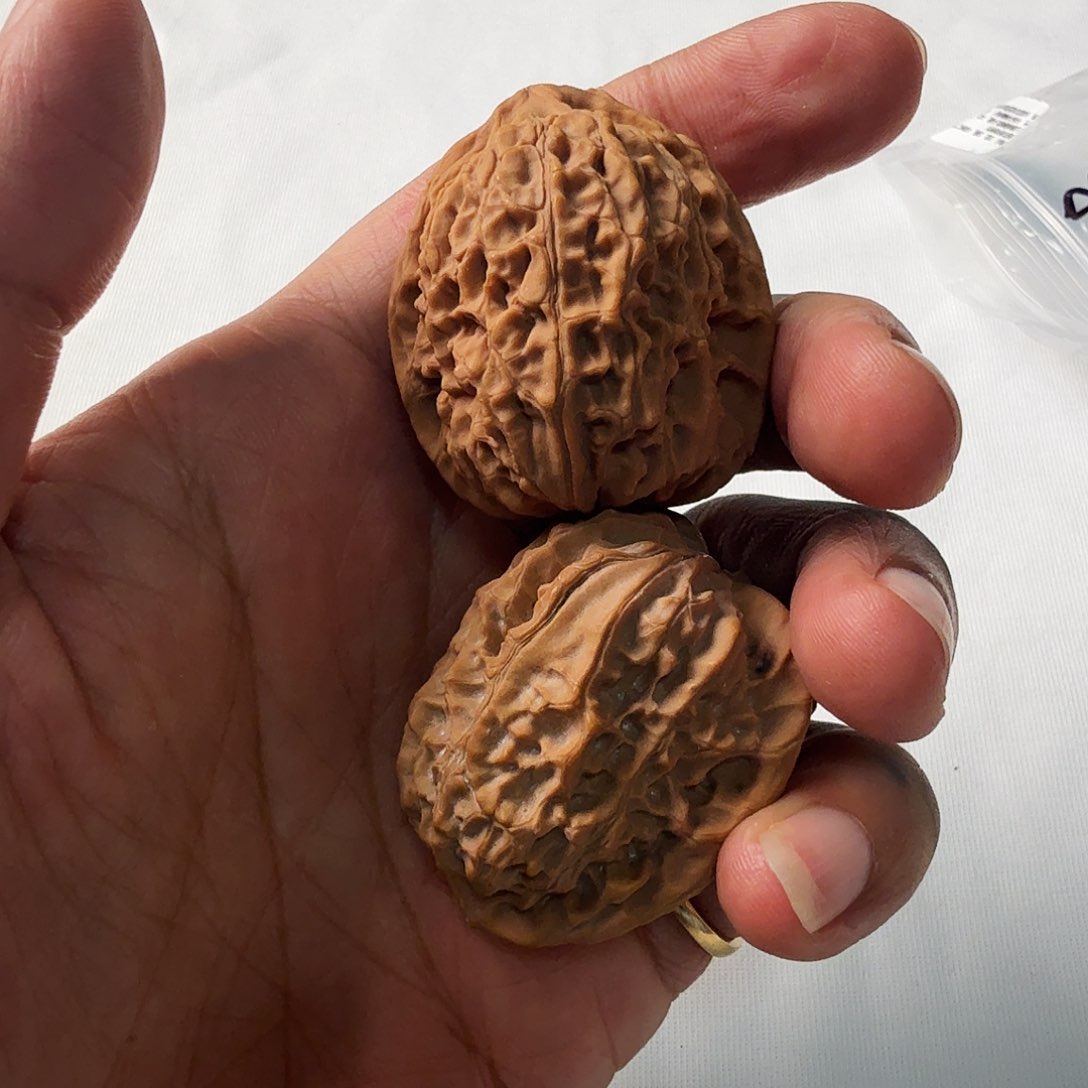 柏香籽/百香籽吊坠17