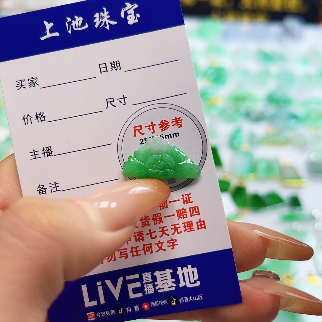 翡翠项链未镶嵌翡翠