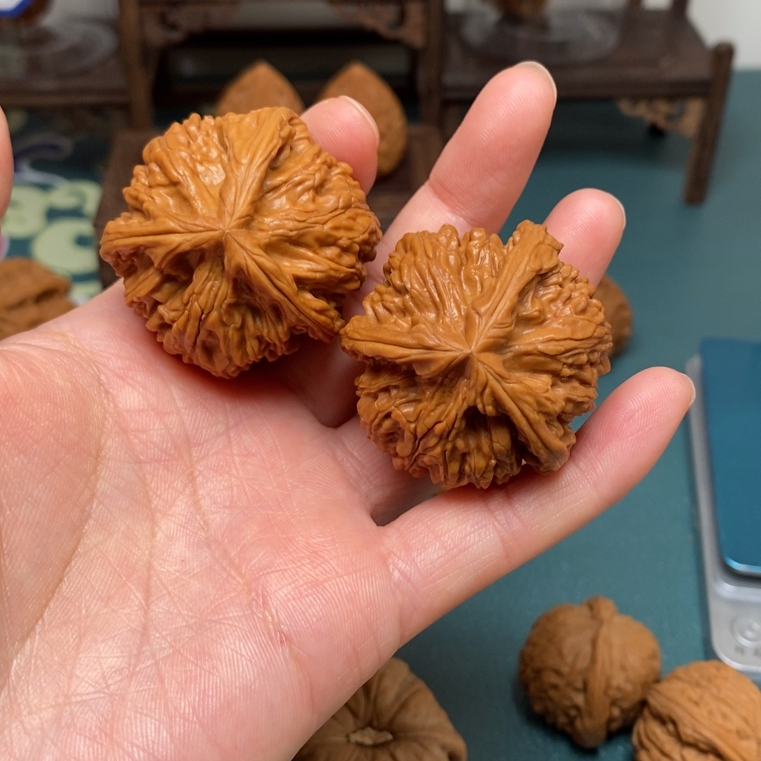 核桃41尺文山三棱修