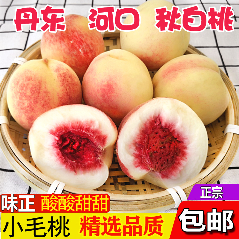 【放软酸酸甜甜】丹东老树秋白桃 酸大于甜放软沙沙糯糯桃味十足Q