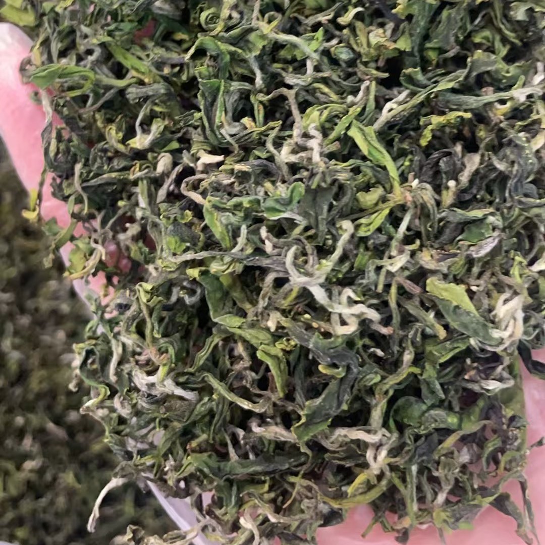 日照绿茶 秋茶 板栗香 味浓耐泡滋味足