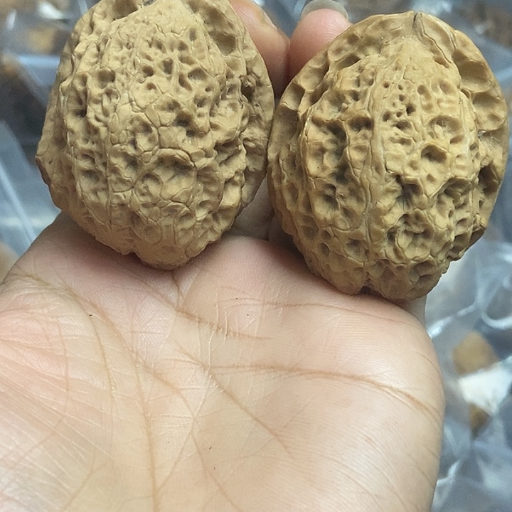 把件文玩核桃云南铁核桃基地10