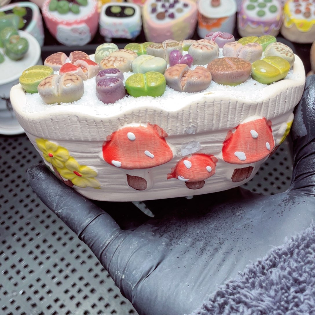 w3852--带盆土发货，零下地区拍保温箱