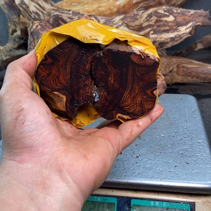 黄花梨/降香黄檀潘*