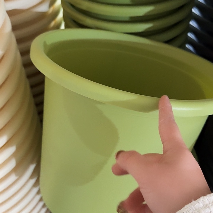 四季6号果绿无托5个