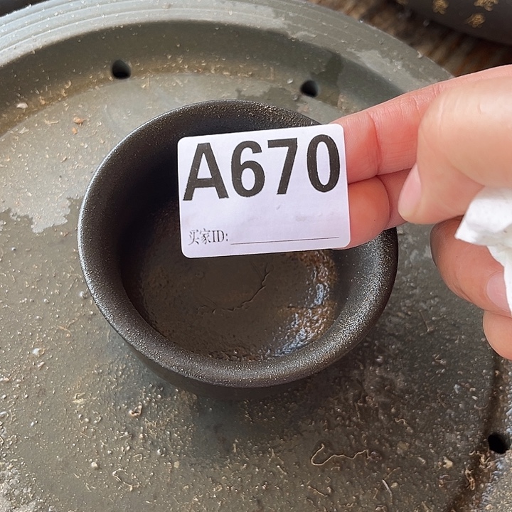 乐****钦州柴烧坭兴陶670