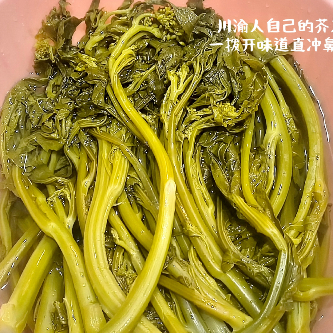 贵州高山农家青菜苔冲菜冲鼻子菜辣菜腊菜新鲜蔬菜