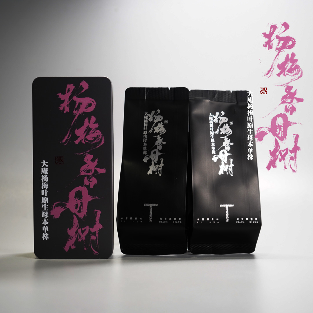 【铁骨酽香】杨梅香母树.大庵杨梅叶原生母本单株.凤凰单丛.6g*2泡