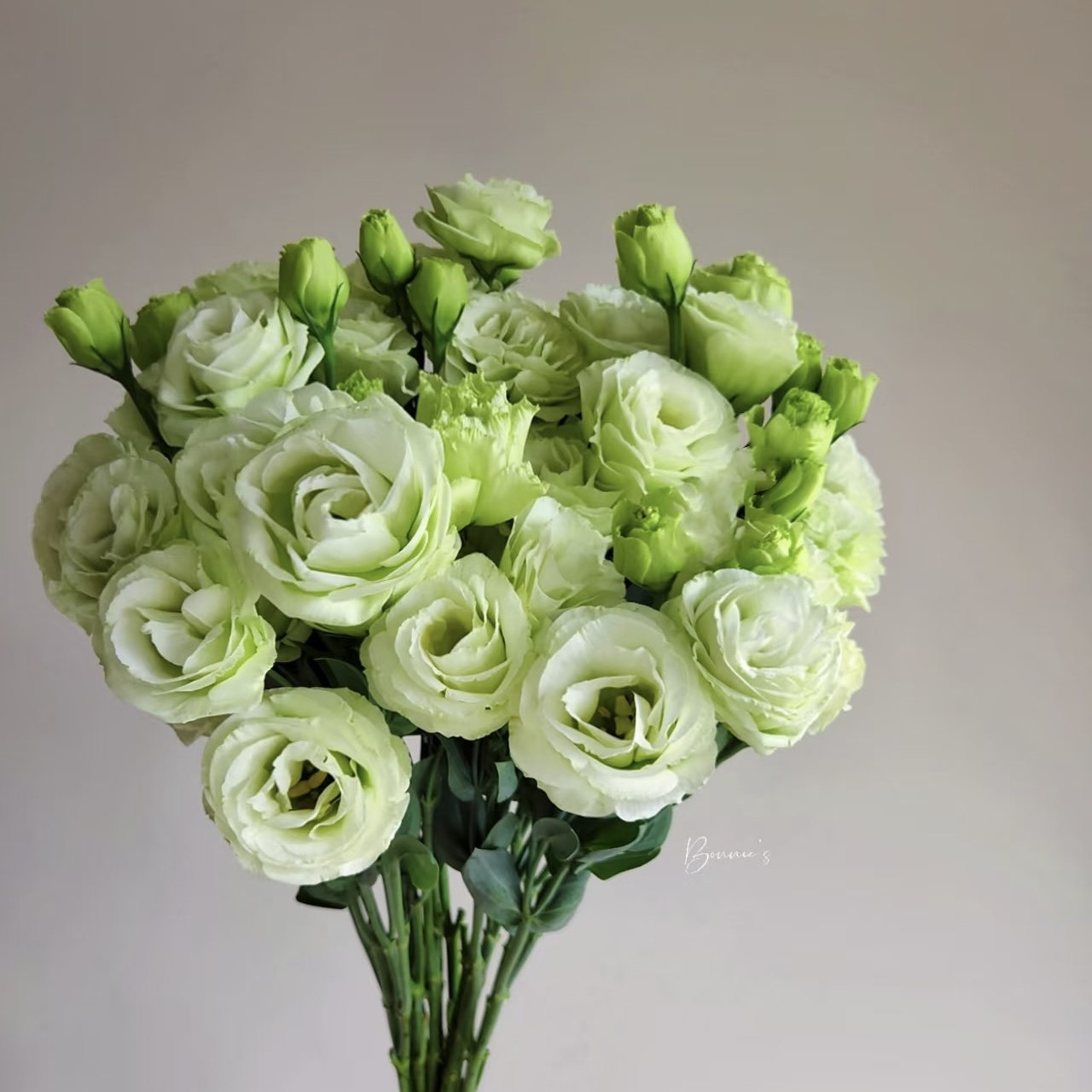 【绿色洋桔梗一大把】任意2单包邮 顺丰送货上门