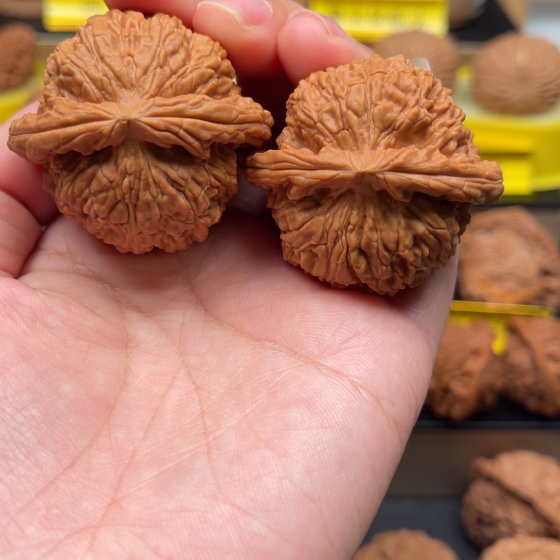 文玩核桃吊坠与**愿白狮子43