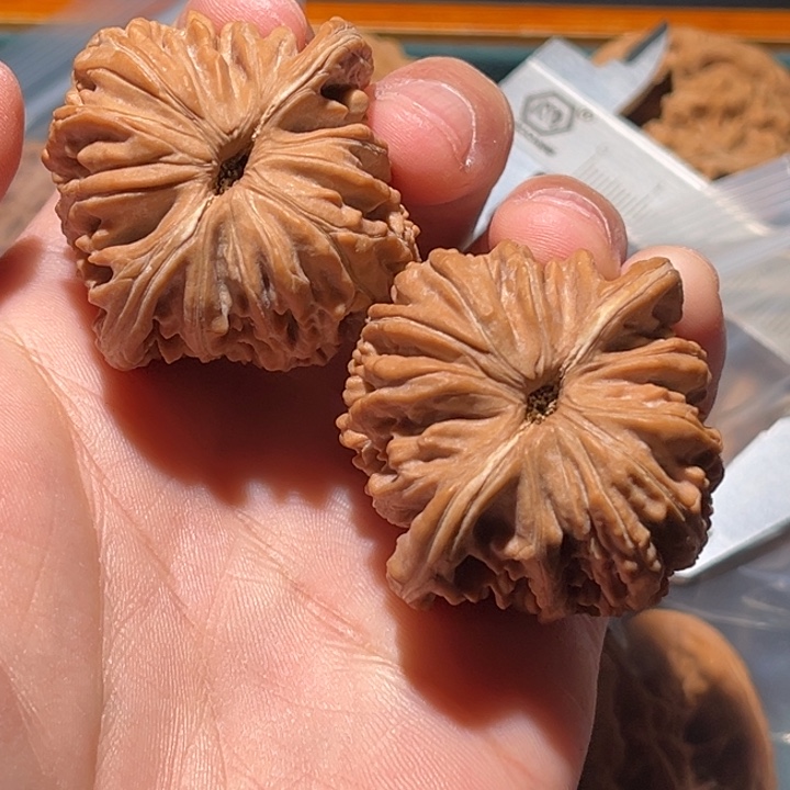 不***生把件文玩核桃41楼子