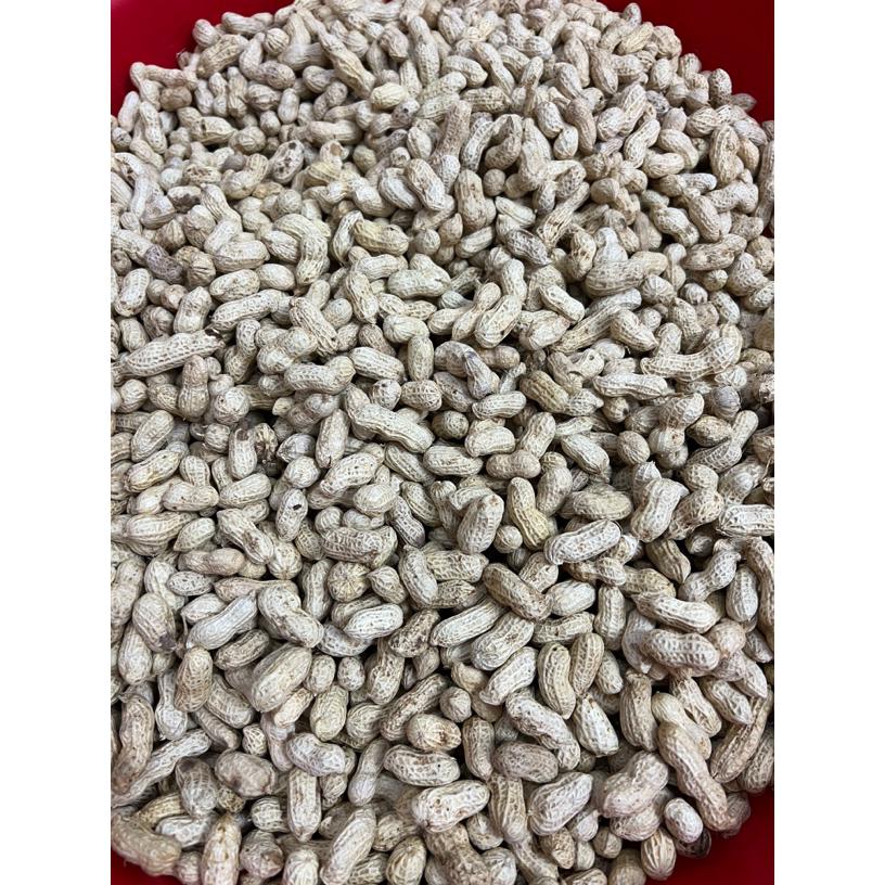 本地水煮原味小珍珠花生带壳