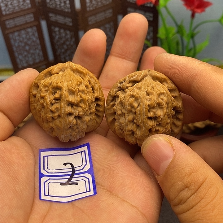 把件文玩核桃35白狮子