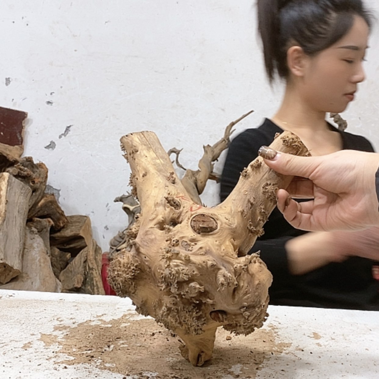 【闪购商品】柏木钨**1我们都是好孩子