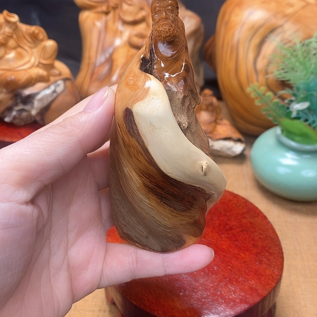 柏木（崖柏）一物一图