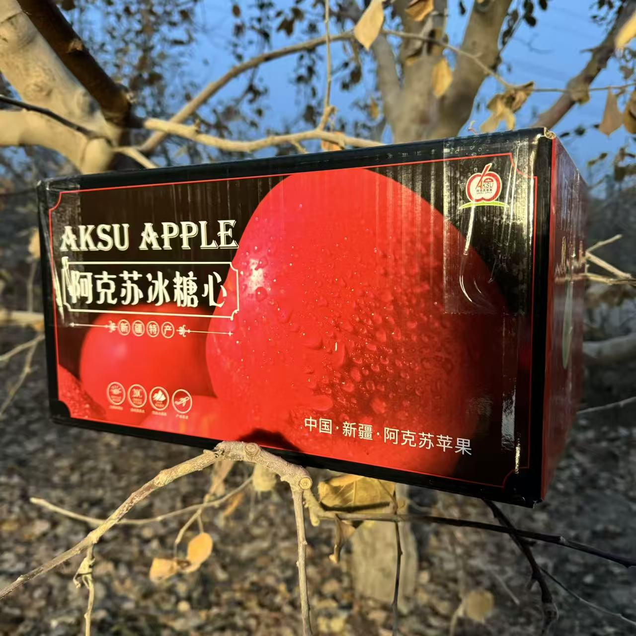 【微瑕疵果】正宗新疆阿克苏红旗坡冰糖心苹果【产地直发】