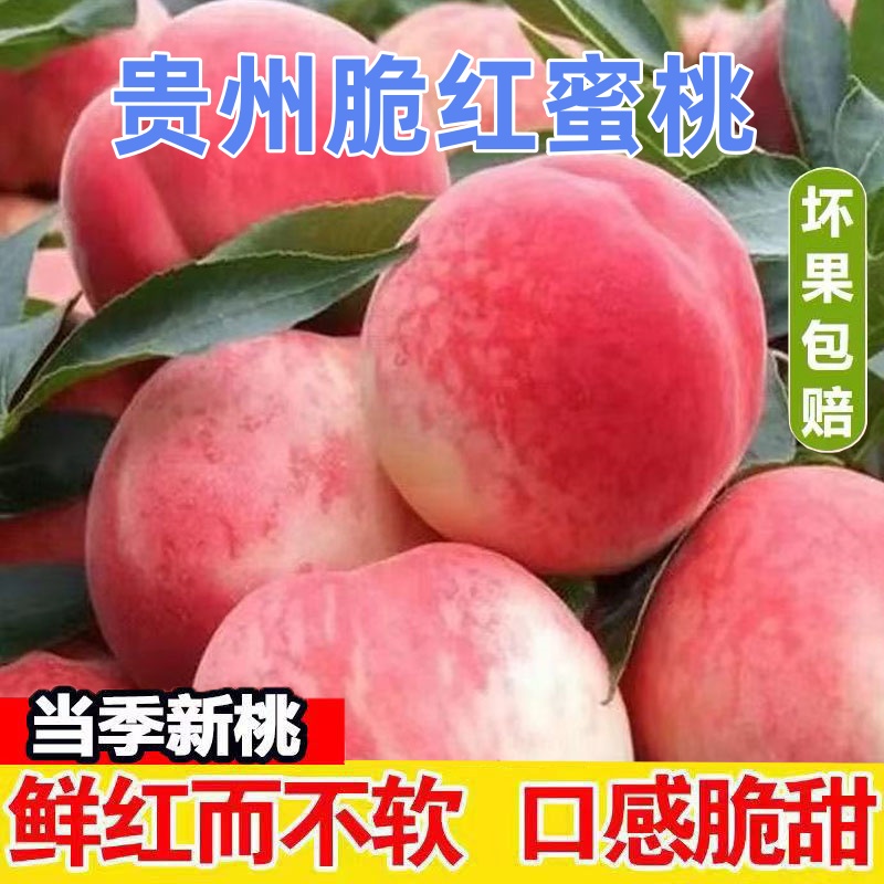 贵州桃子脆红桃脆桃子新鲜香甜孕妇水果时令当季爆甜鲜红水蜜桃