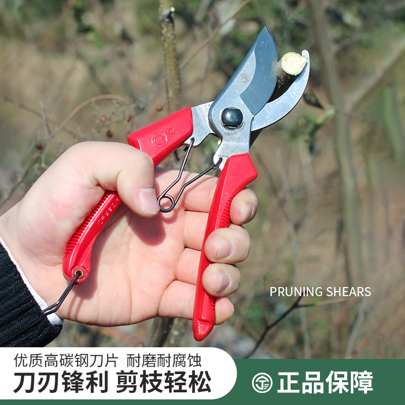 国货宁三牌修枝剪101b果树葡萄枝修花枝高碳钢强力树枝细枝剪粗枝