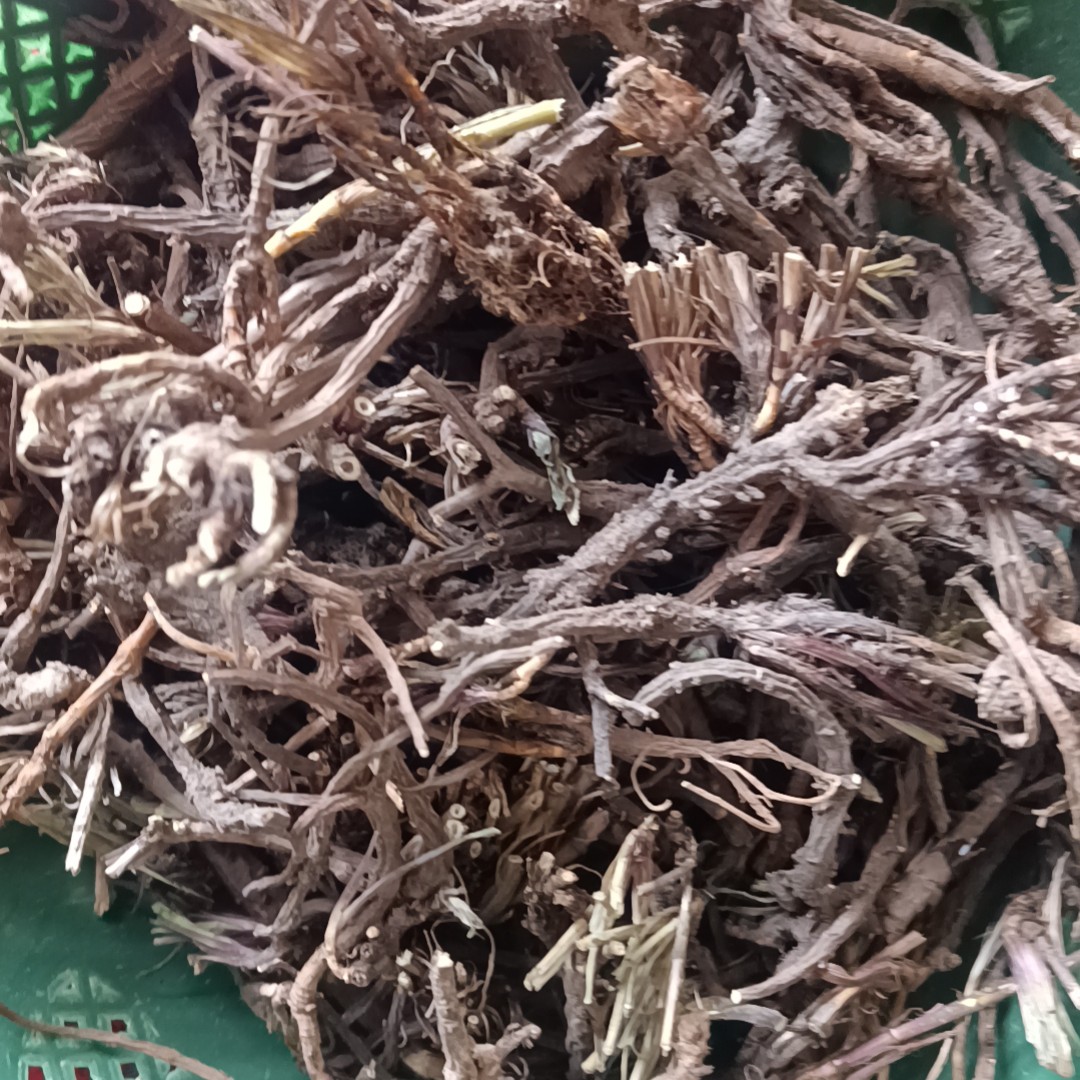 甘肃非种植北柴胡250g～500g包邮