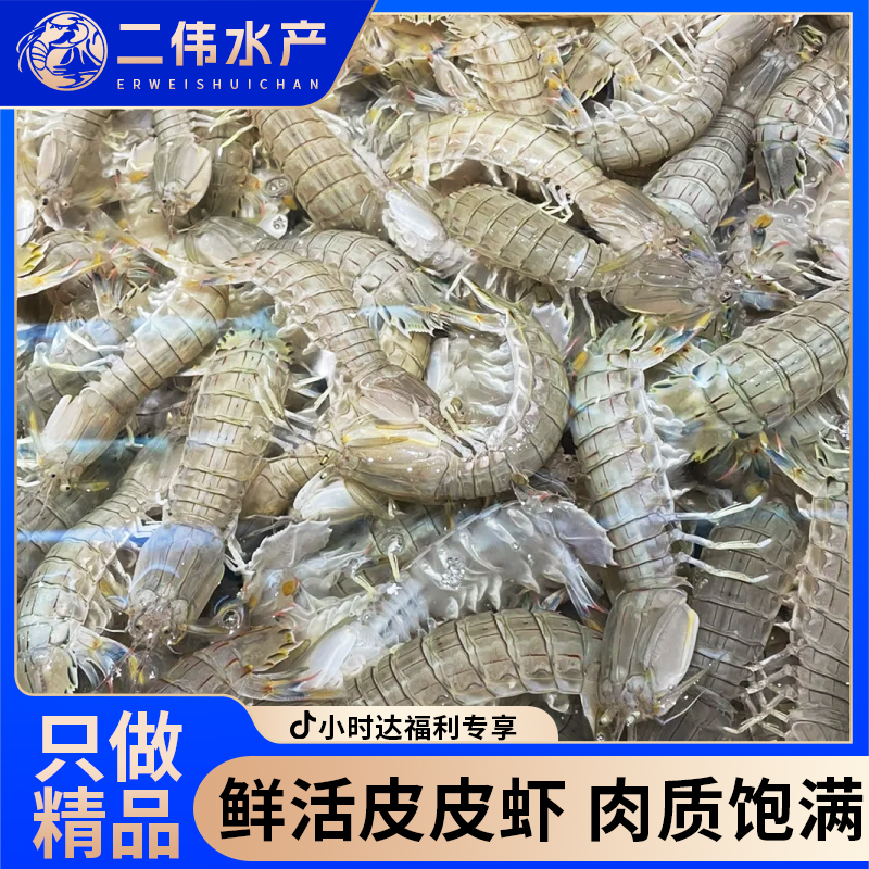 （二伟水产）二界沟虾爬子小号二爬子59.9三斤皮皮虾包邮