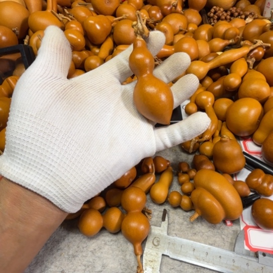 知***夕木樨的一把胖蚂蚁葫芦一把胖蚂蚁