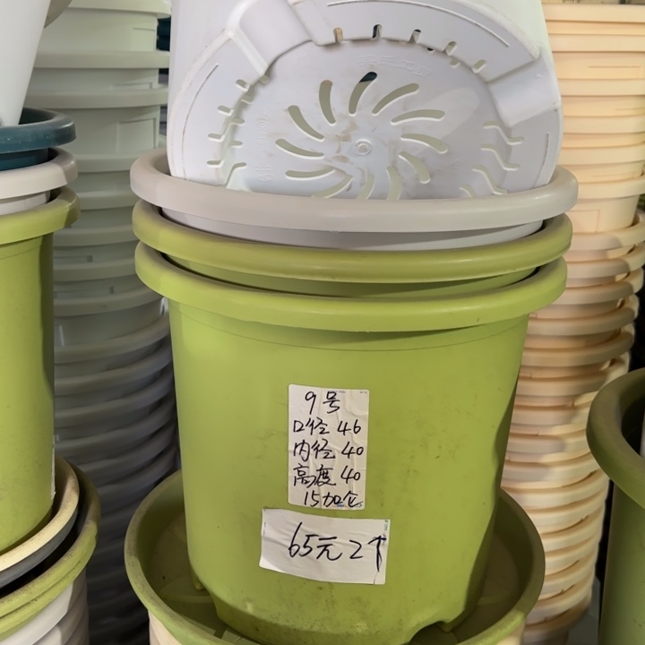 微瑕9#口径46无托果绿3个
