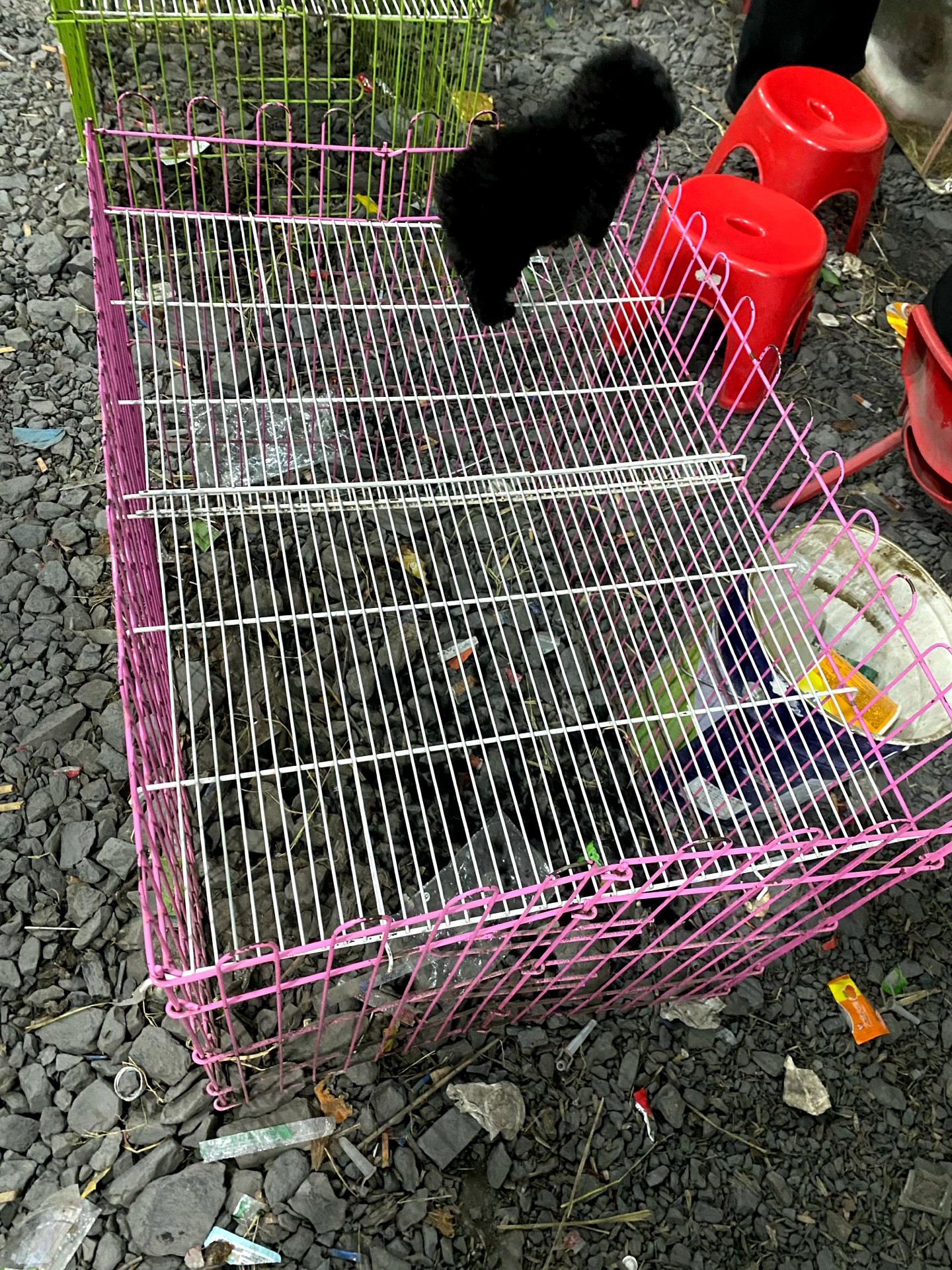 狗狗跑笼钢筋冷轧工艺