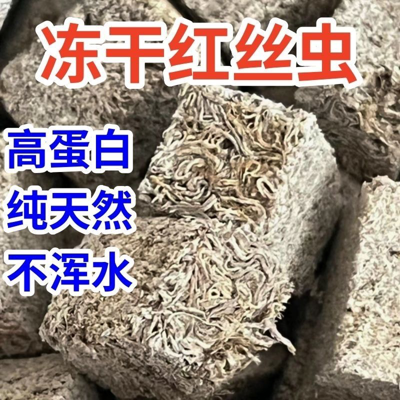 高蛋白冻干红线虫水蚯蚓鱼食小型热带鱼观赏鱼饲料