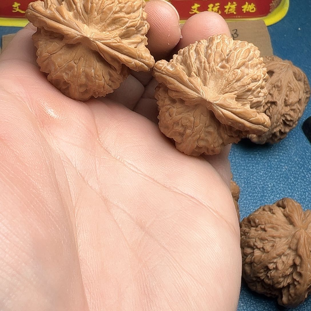 文玩核桃把件39白狮子
