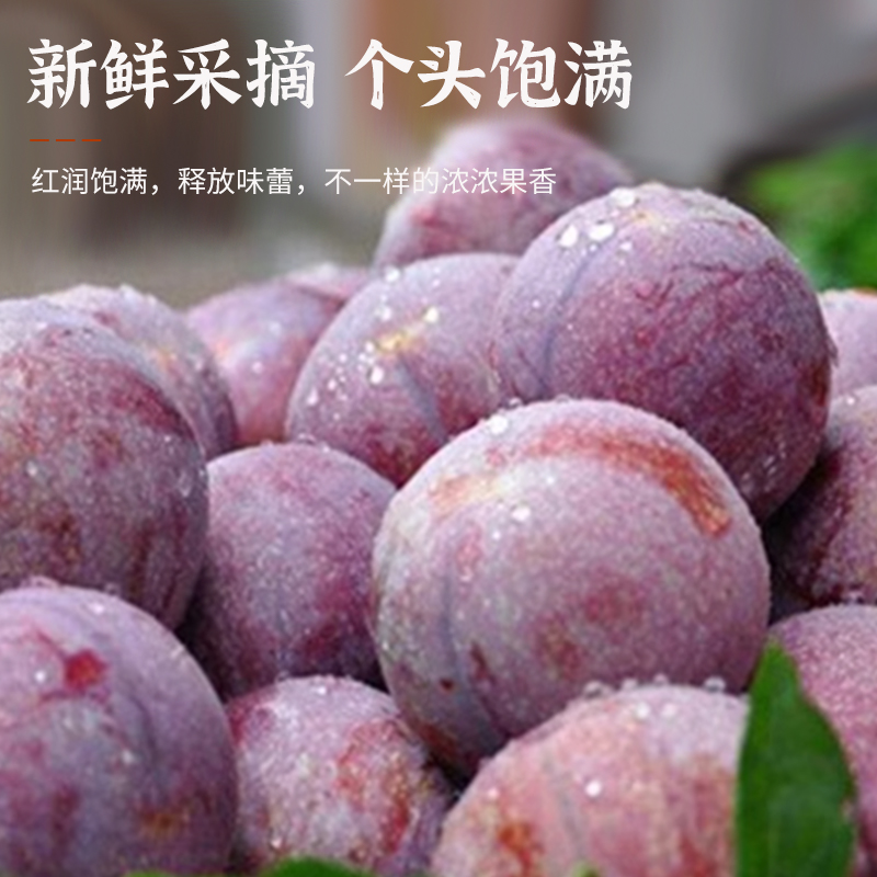 果王广西三华李新鲜采摘酸甜脆口不苦不涩鲜嫩多汁红心李应季水果