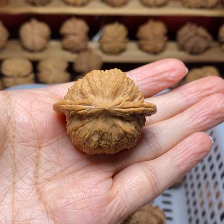 独***7文玩核桃把件尺寸