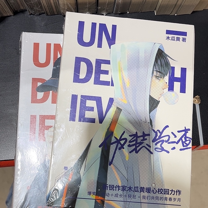 伪装学渣全新全套两本未删减带周边