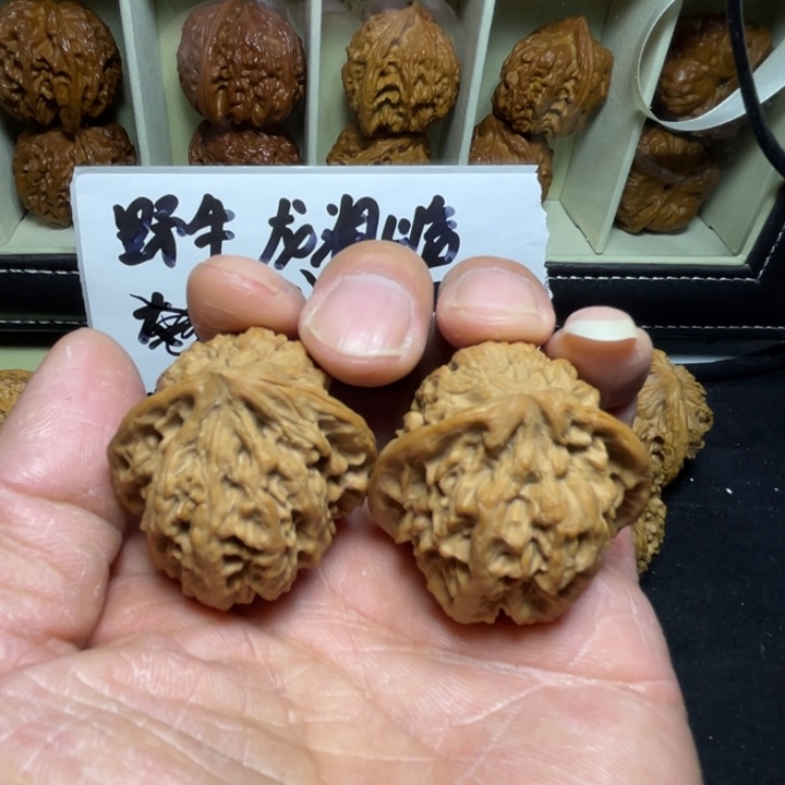 文玩核桃把件野牛41