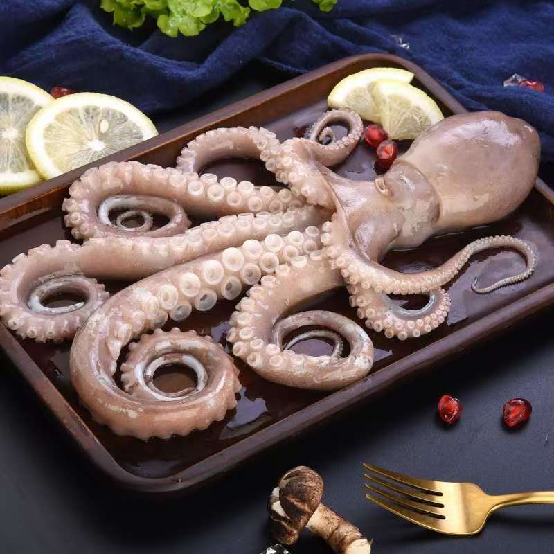 甄选野生长腿八爪鱼现货速度发货fw