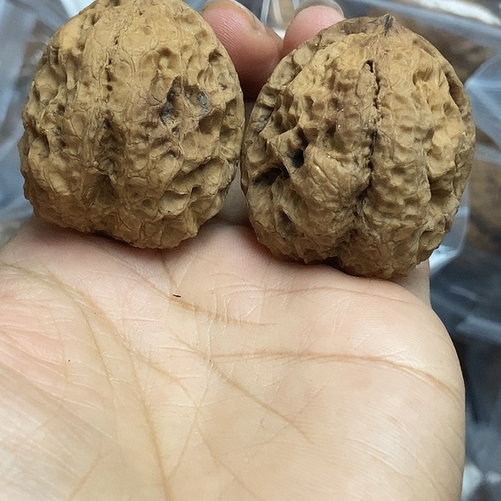 文玩核桃把件云南铁核桃基地9