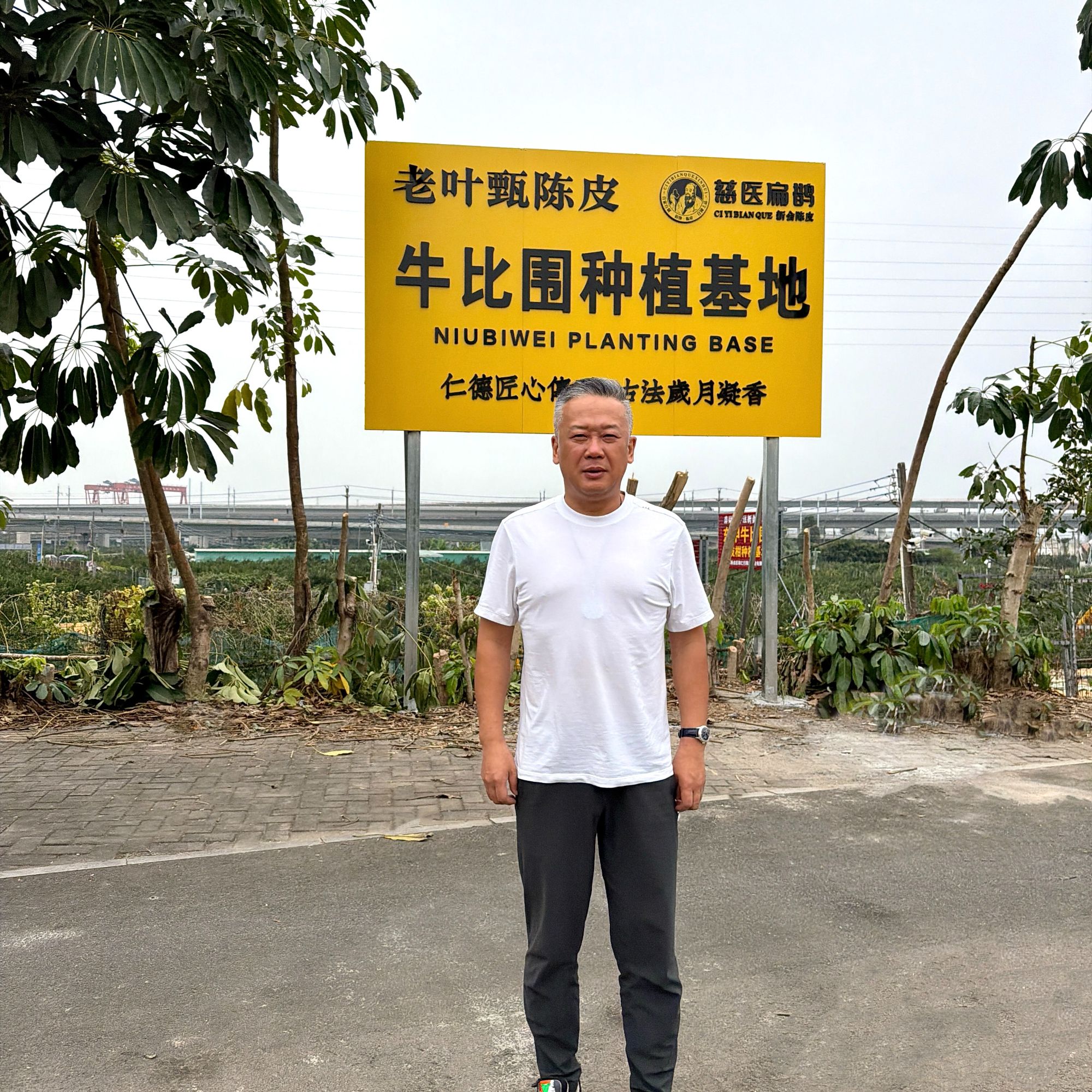 【老叶甄陈皮】2025年东甲牛比围小叶油生