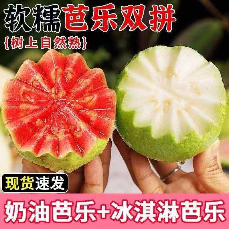 福建正宗软糯红心白心双拼奶油芭乐新鲜水果番石榴脆甜胭脂红巴乐
