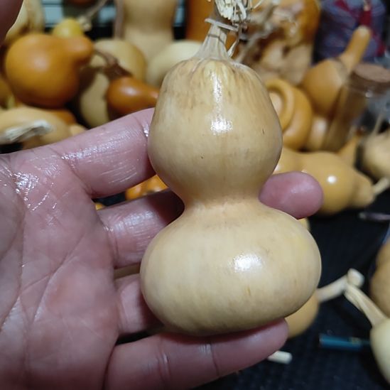 老***一回来哈哈哈哈哈哈哈哈葫芦