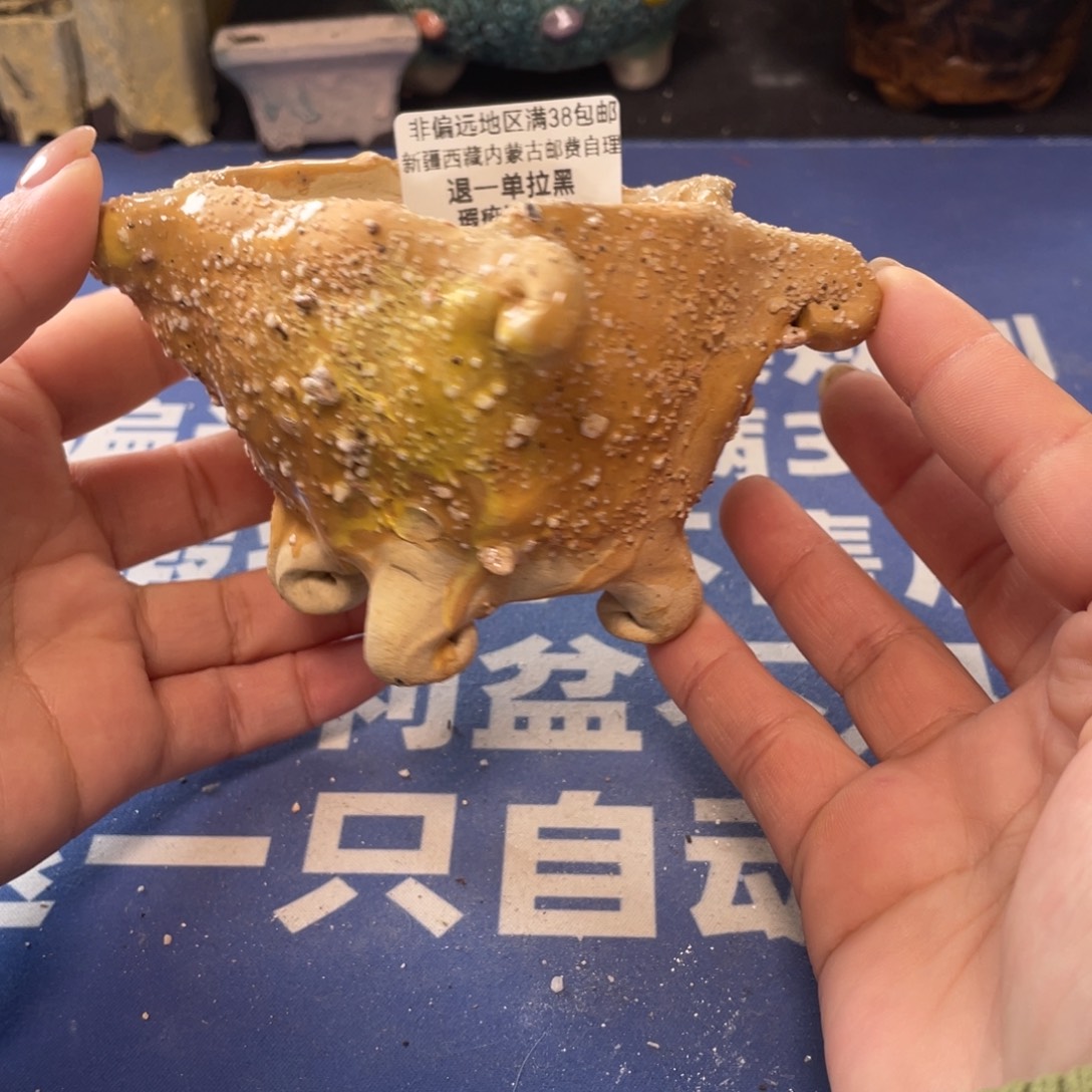 微瑕陶艺多肉花盆23