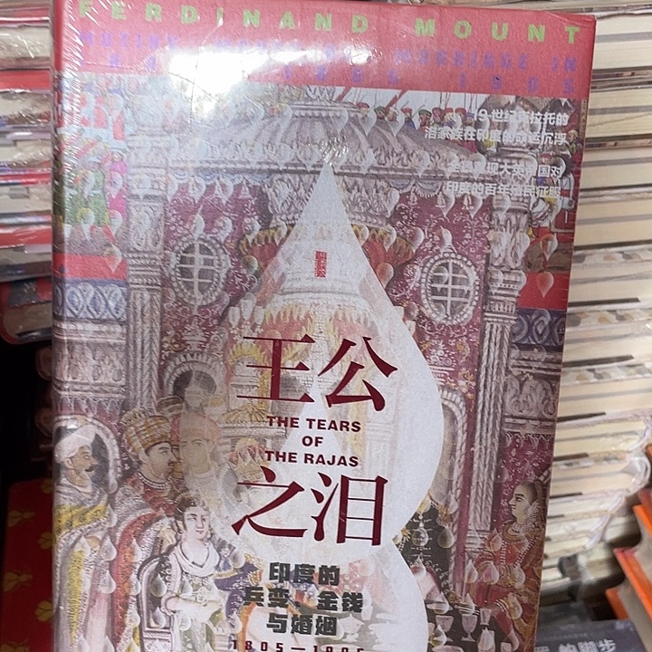 王公之泪：微瑕图书系列