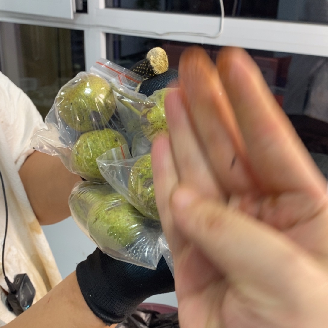 吊坠文玩核桃磨盘开果38