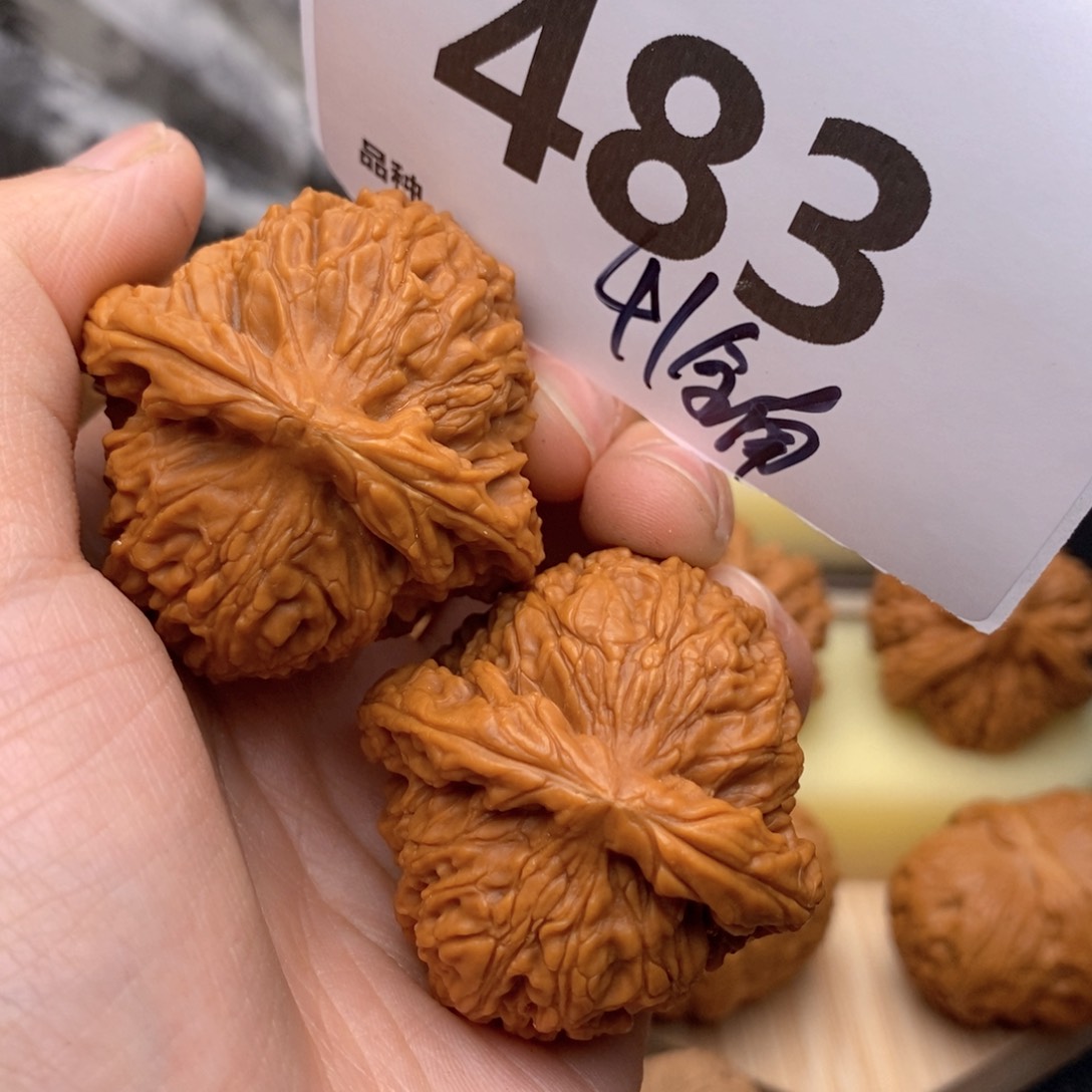 文玩核桃把件483号41全南