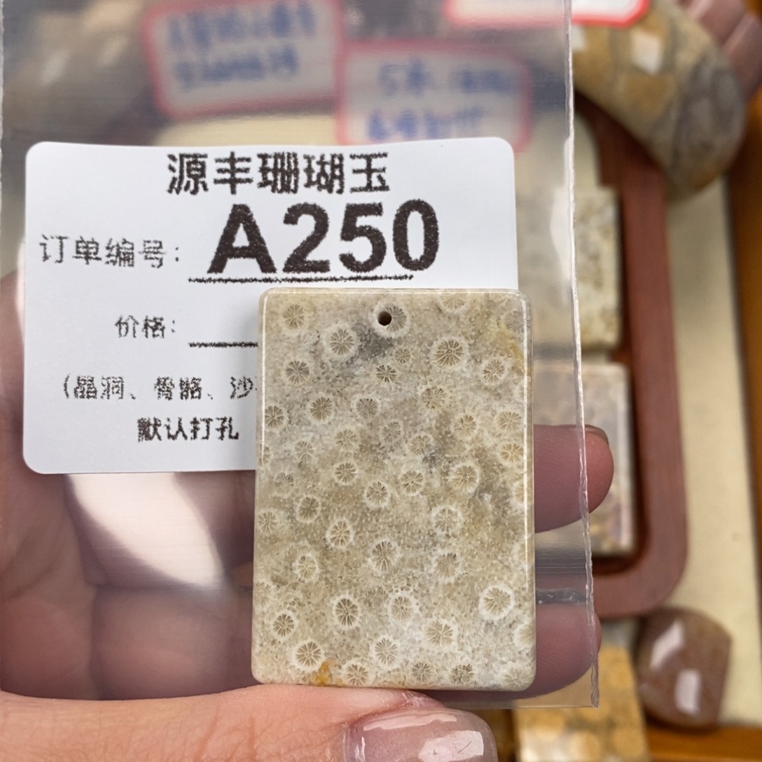 硅化玉颈饰未镶嵌否***.