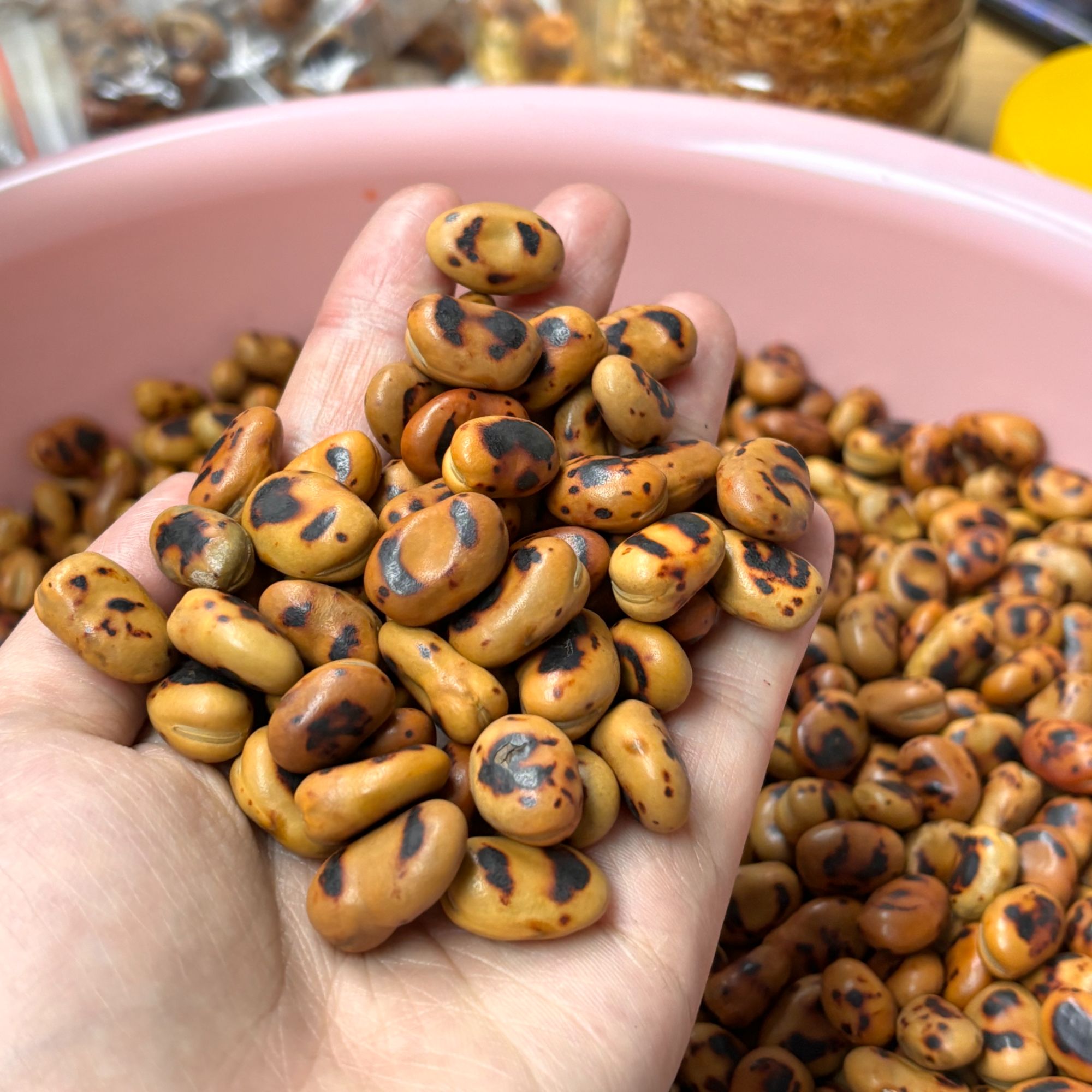 修水手炒的蚕豆子胡豆蚕豆零食正宗